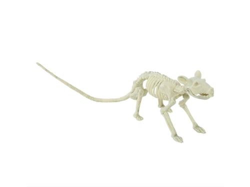 Rat Skeleton 20 cm - 1 pc