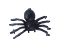 Black spiders - 70 pcs