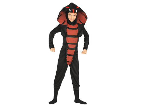 Kostium Kobra Ninja dla chłopca