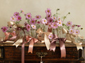 Ribbon - 38mm/25m - 1 pc