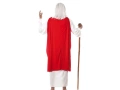 Druidess costume