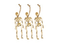 Skeleton hanging decorations - 3 pc