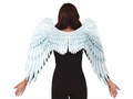 Angel wings white