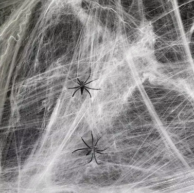 Chenille Sppiderweb