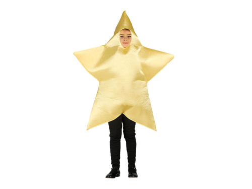 Christmas star costume