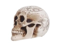 Skull - 1 pc