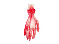 Amputated bloody hand