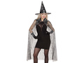 Adult Black Witch costume