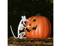 Rat skeleton - 18 cm - 1 pc.