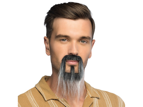 Beard Fantasy grey