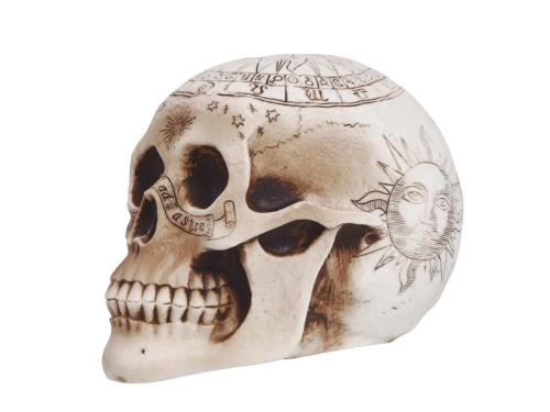 Skull - 1 pc