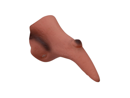 Adults Witch Nose