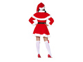Ladies Costume Santa