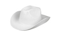 Hat Rodeo white