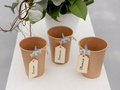 Brown cups - 10 pcs.