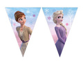 Frozen 2 - Ice Age Wind Spirit flag banner - 1 pc.