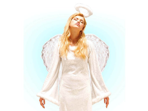 Angel wings white - 67 x 64 cm