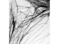 Black spider web with 2 spiders - Halloween web - 60 g.