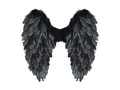 Wings black
