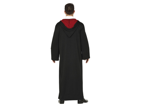 Costume Harry Potter