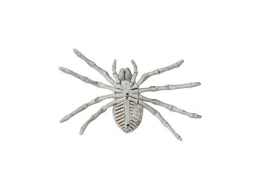 Spider skeleton - 24 cm - 1 pc.