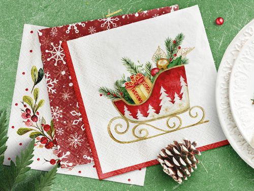 Napkins - 33 cm - 20 pcs