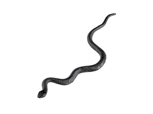 12 snakes