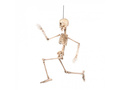 Hanging decoration Movable skeleton - 50 cm - 1 pc