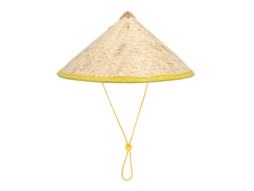 Vietnamese hat