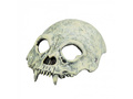 Foam half mask Skull - 1 pc