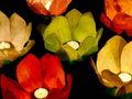 Floating lanterns mix colors - 6 pcs.