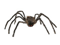 Spider 75 cm