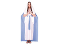 Virgen Maria Costume