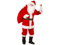 Professional Santa Claus