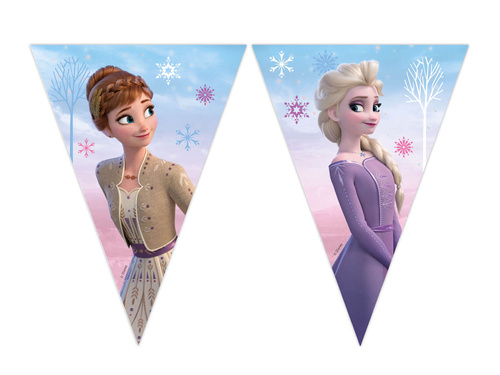 Frozen 2 - Ice Age Wind Spirit flag banner - 1 pc.