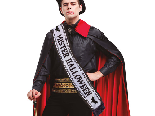 Hen Party Sash " Wieczór Panieński - 1 pc