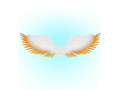 Angel wings white - 100 x 25 cm