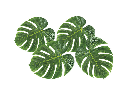 4 Giant Palm Leaves
