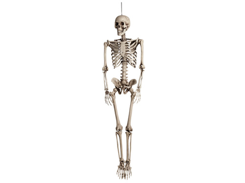 Skeleton Pendant - 160 cm