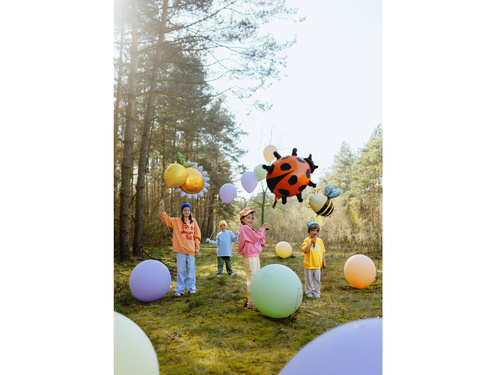Balon foliowy Biedronka - 85x83 cm - 1 szt.