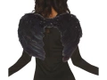 Wings black
