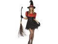 Adult Evil Fairy