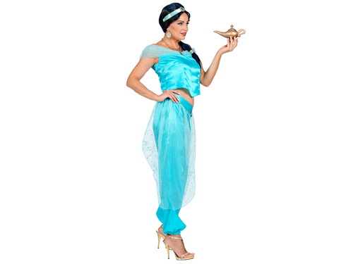 Arabian princess costume