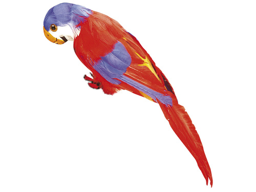 Red feathered Parrot - 40 cm