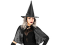 Adult Black Witch costume