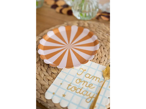 Paper Plates - 21 cm - 6 pcs