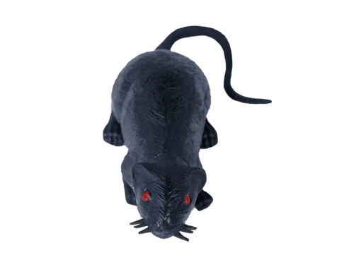 Rat 15 cm