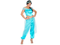 Arabian princess costume