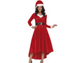Ladies Costume Santa
