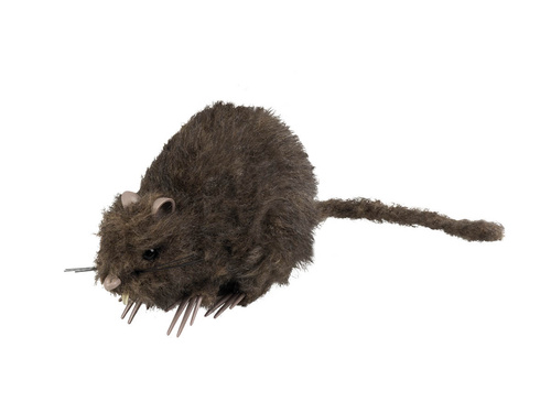 Rat 15 cm - 1 pc